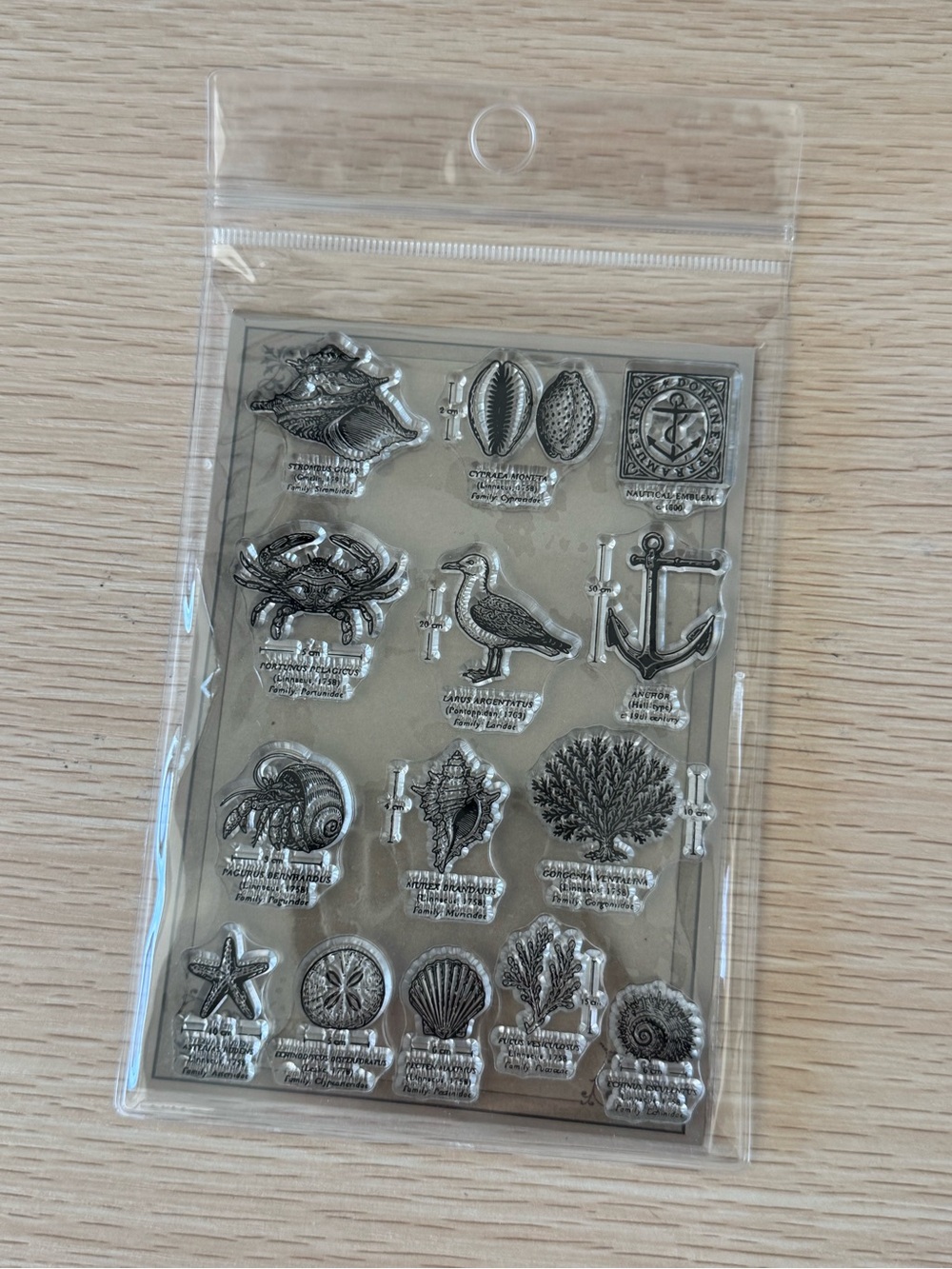 CoraCreaCrafts summer clear stamps